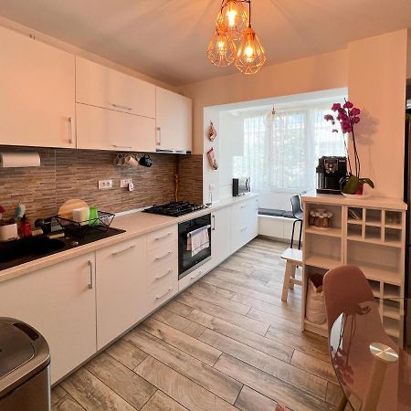 Apartament Popescu Călimăneşti エクステリア 写真