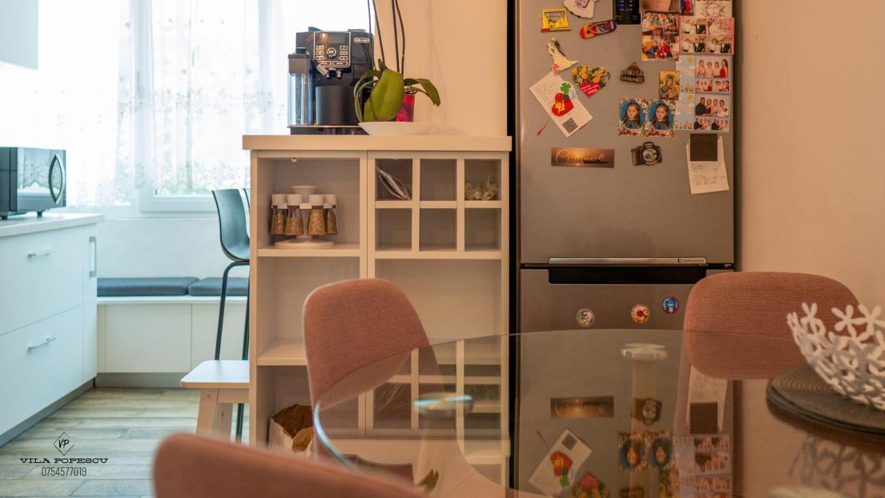 Apartament Popescu Călimăneşti エクステリア 写真