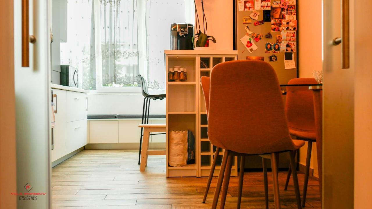 Apartament Popescu Călimăneşti エクステリア 写真