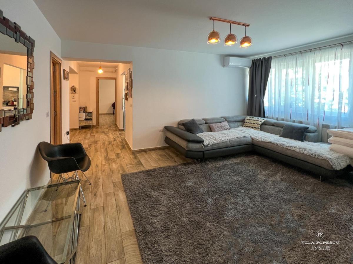 Apartament Popescu Călimăneşti エクステリア 写真